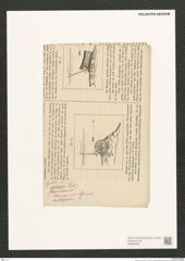 Navicula sp. (de-Toni-Nr.: Genus 1) Zeichnungen Sammlung Grunow (NHMW-BOT-W0368485)